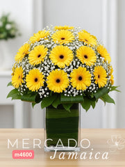 La Grandiosa 20 Gerberas BV