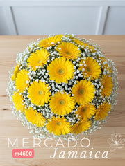 La Grandiosa 20 Gerberas BV