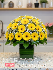 La Grandiosa 20 Gerberas BV