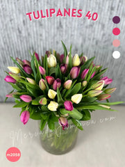 40 Tulipanes colores florero craquelado