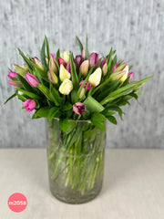 40 Tulipanes colores florero craquelado