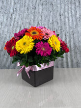 Floreria Mexico Gerberas Nido Color Extra !