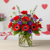 Bellas anémonas rojas febrero