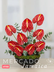 Arreglo con Anturio Rebeldes