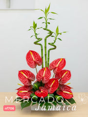 Arreglo Bamboo Curly con Anturios