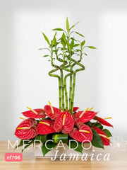 Arreglo Bamboo Curly con Anturios