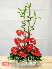 Arreglo Bamboo Curly con Anturios