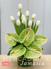 Blanco Noble, Verde Imperial