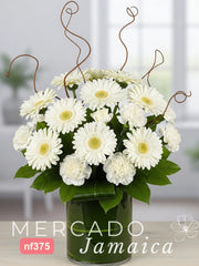 10 Gerberas Blancas Curly