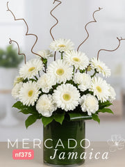 10 Gerberas Blancas Curly