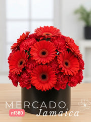 Gran Rojo Gerberas con Claveles