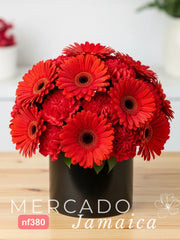 Gran Rojo Gerberas con Claveles