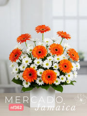 10 Gerberas con Margaritas