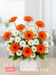 10 Gerberas con Margaritas