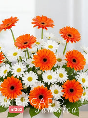 10 Gerberas con Margaritas