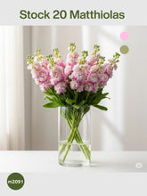 Arreglo Stock 20 Matthiolas Rosa Claro