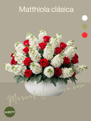 Arreglo Matthiola Clásica con Rosas Rojas, Matthiolas Blancas y Dusty Miller