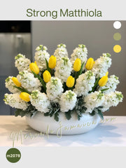 Arreglo Strong Matthiola 20 Flores
