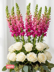 Arreglo Jardín Vertical con Rosas Blancas y Perritos