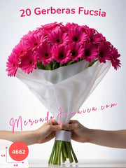 Explosión Fucsia: Ramo de 20 Gerberas Fucsia México