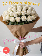 Blancura Pura: Ramo de 24 Rosas Blancas México