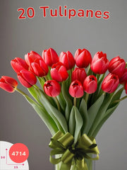 Passione Rosso: 20 Tulipanes Rojos México