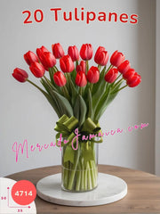 Passione Rosso: 20 Tulipanes Rojos México