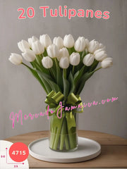 Serenidad Nívea: 20 Tulipanes Blancos México