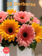 Alegría en Tonos: 20 Gerberas en Cubo de Cerámica México