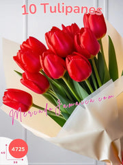 Pasión Minimalista: Ramo de 10 Tulipanes Rojos México