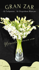 Arreglo con Orquídeas y Tulipanes Blancos Gran Zar !