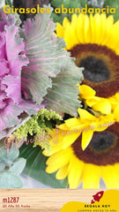 Arreglo con Girasoles Abundancia !