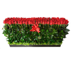 Arreglo con 100 Rosas Rojas en Base de Madera