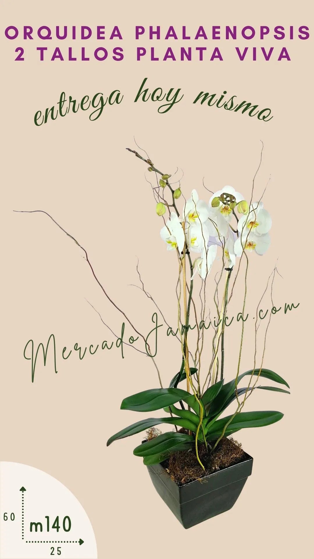 Arreglo Floral