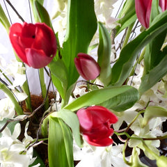 Arreglo Fino con Tulipanes Febrero Love !