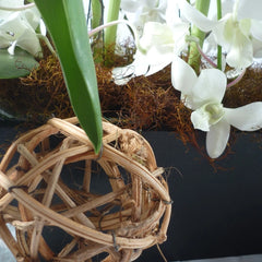 Arreglo Fino con Tulipanes Febrero Love !