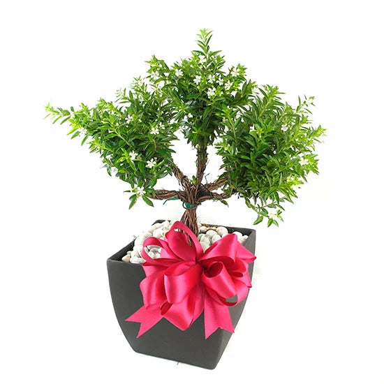 Arreglo Floral