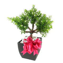 Arreglo Floral