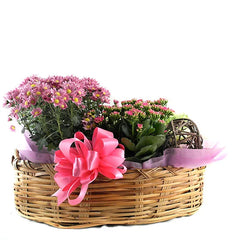 Canasta Ovalada con Flores