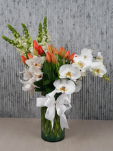 20 Tulipanes con orquídeas 2 variedades