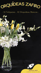 Arreglo con Flores Orquídeas Blancas Zafiro !