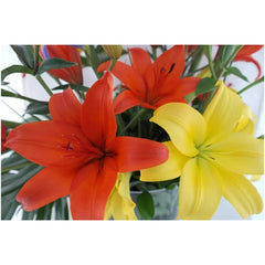 Arreglo con Flores Lilies Amarillas y Flor Iris !