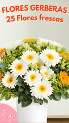 25 Gerberas Armonía Blanco Naranja