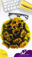 Canastas con 50 Girasoles