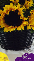 Canastas con 50 Girasoles