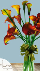 20 Finas Callas Naranja