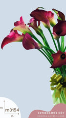 20 Finas Callas Moradas