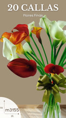 20 Flores Callas Blancas Naranja