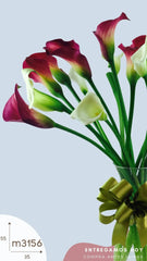 20 Finas Callas Moradas y Blanco