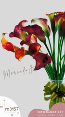 20 Callas Morado y Naranja